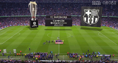 卡迪夫城主帅：球队渴望与强队交手，不会因切尔西实力而胆怯（卡迪夫城主教练：渴望与豪强对决，面对切尔西也绝不畏惧）